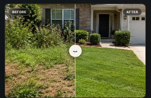 SISLAND Reveal Landscaping — antes y después de jardín